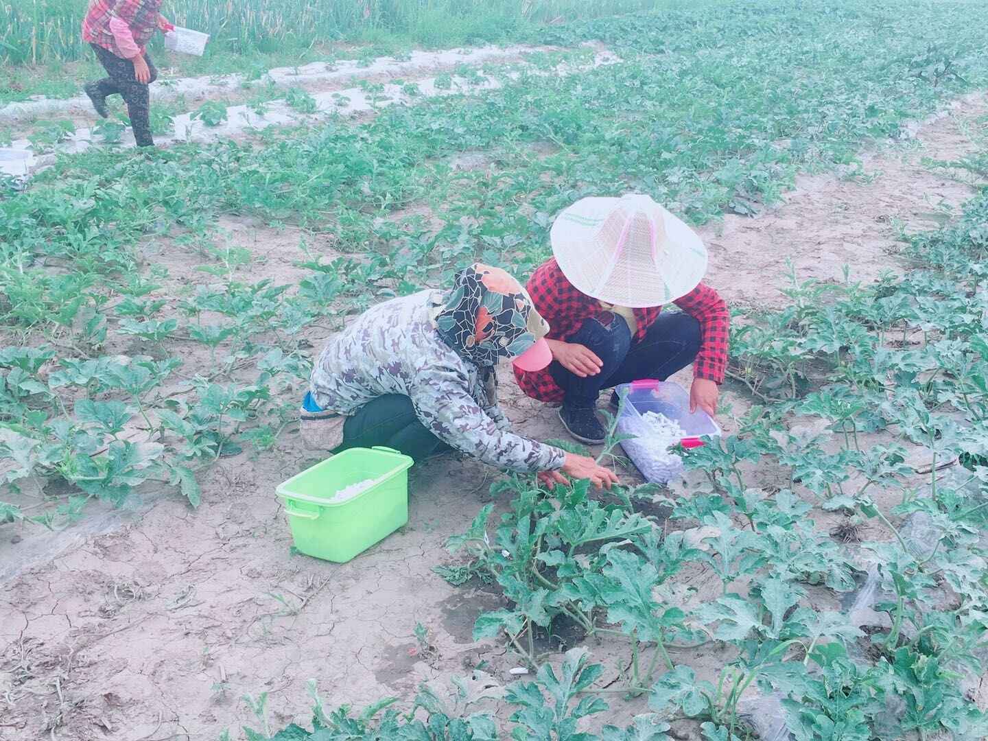 ag九游会官方网址