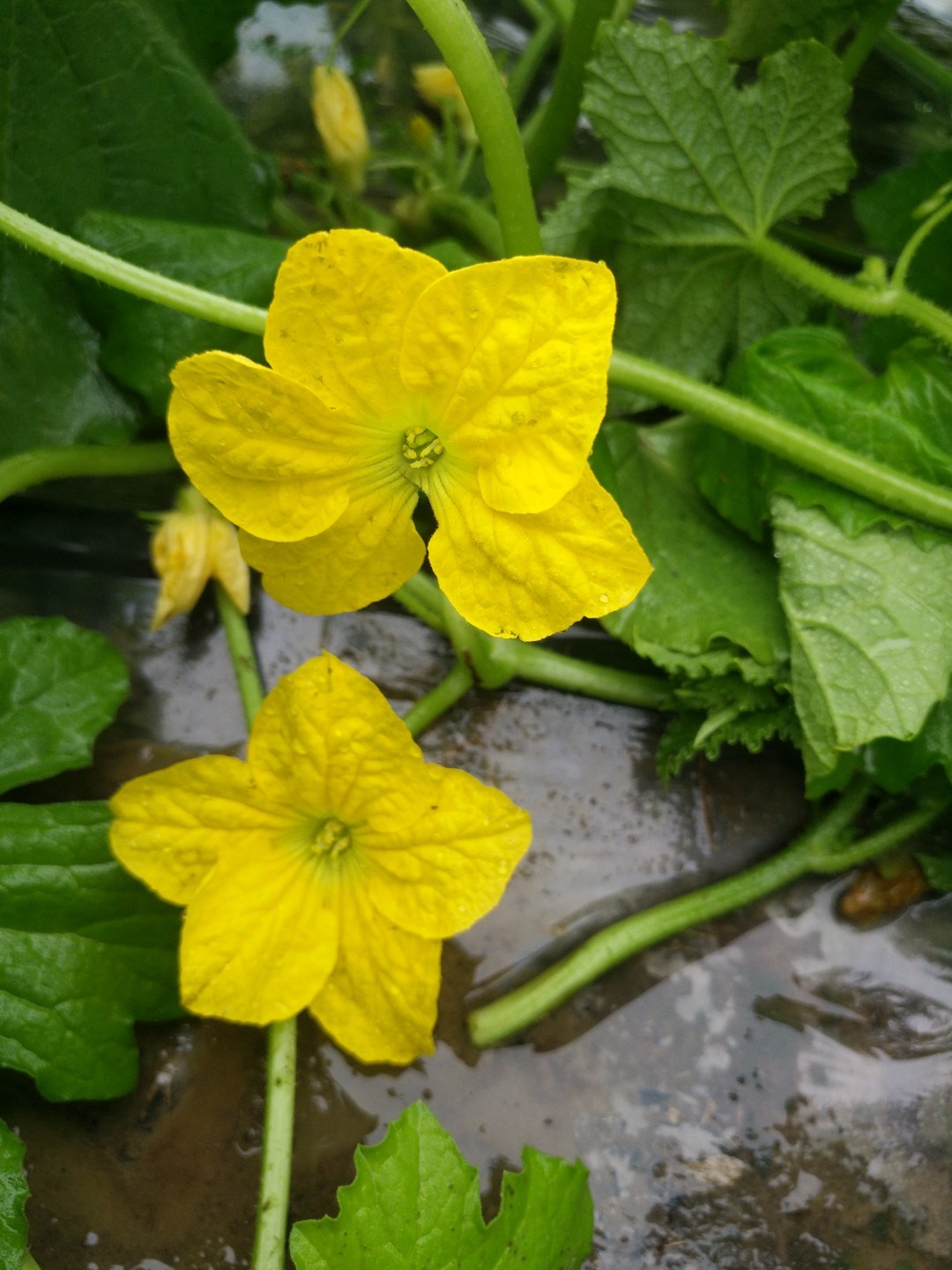 ag九游会官方网址