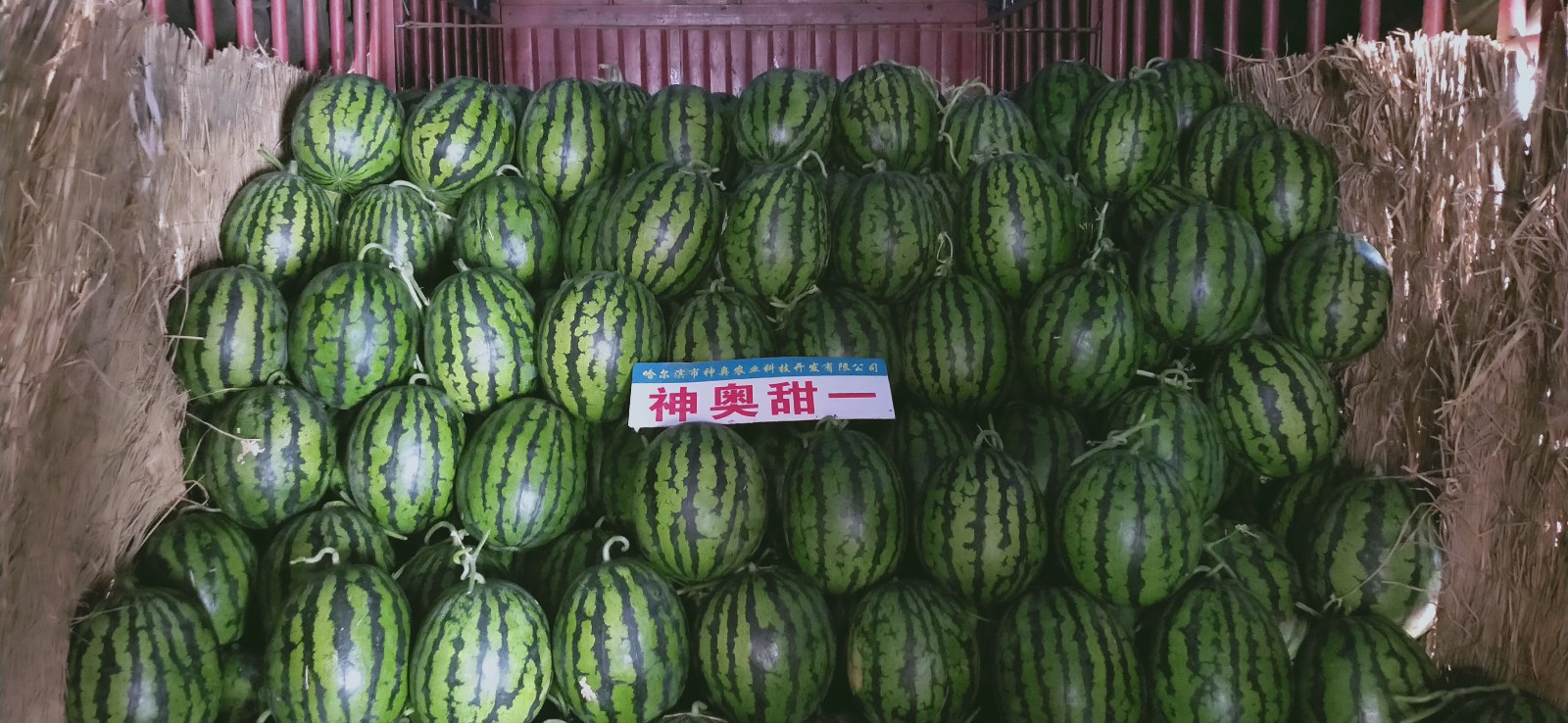 ag九游会官方网址：前4个月砸50亿拿地“川系黑马”邦泰集团好凶狠